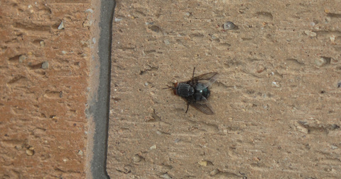 DSC00715_2.jpg