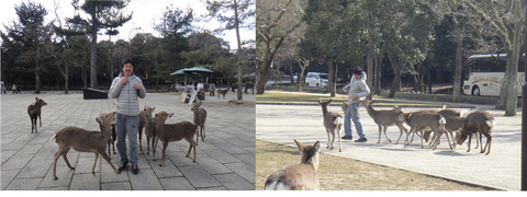 427-2_edited-4.jpg