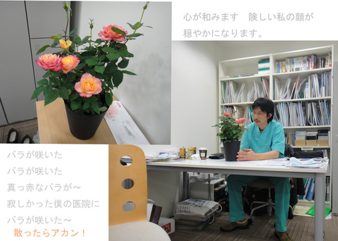 バラ1_edited-2.jpg
