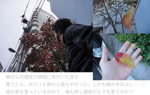 121116_2_edited-2.jpg